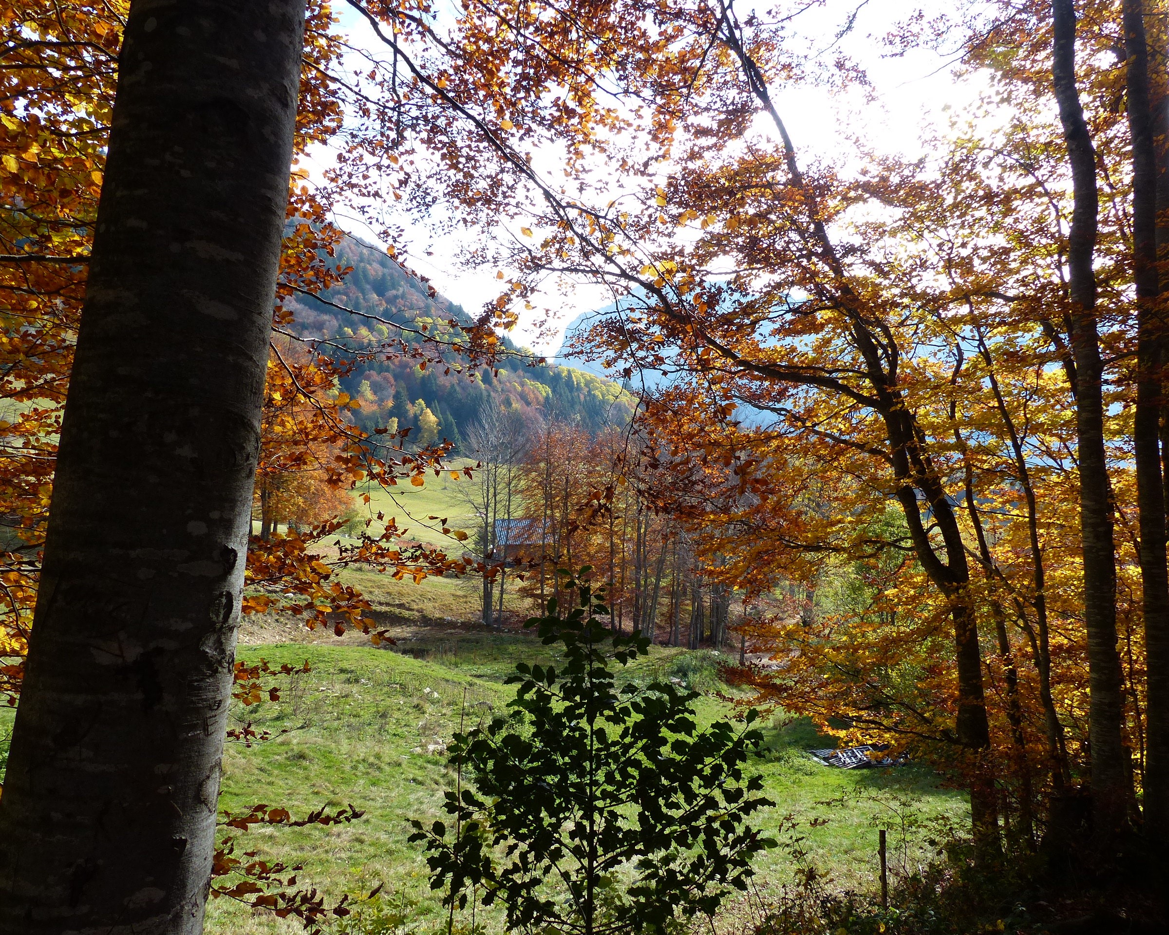 OCTOBRE au Centre Gentiane! 2 granier oct2015 3.2