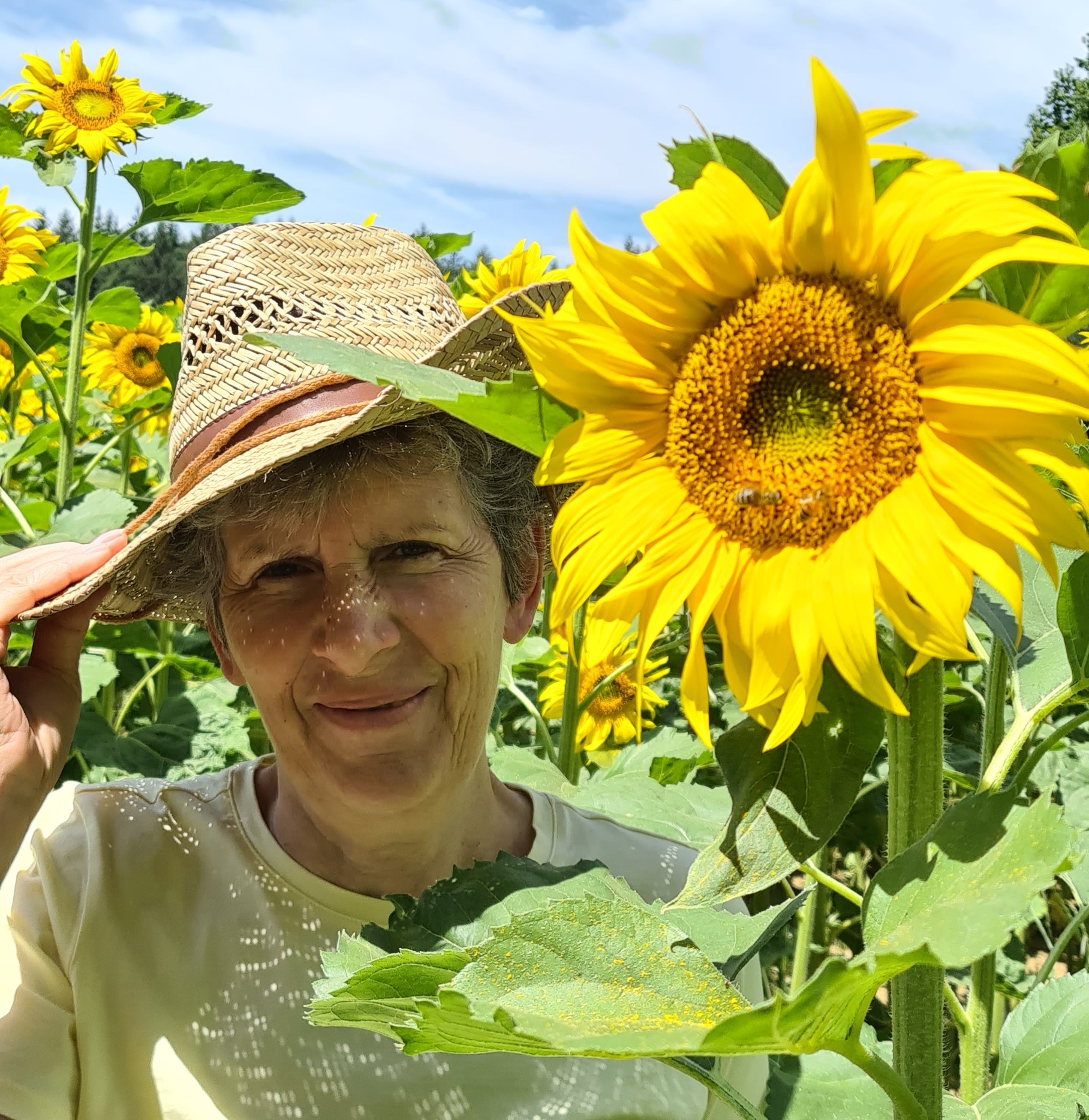 La SOPHROLOGIE et L'APPROCHE ENERGETIQUE avec Sylvie Stocker 1 20250705 130932 1