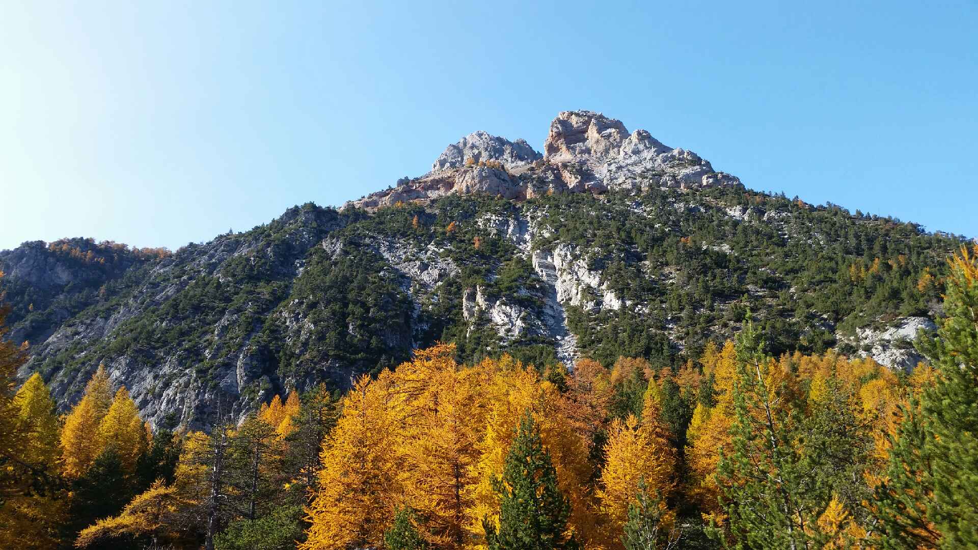 NOVEMBRE au Centre Gentiane ! 1 20201024 135921003